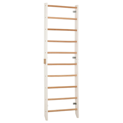 Compact Home Training Ladder