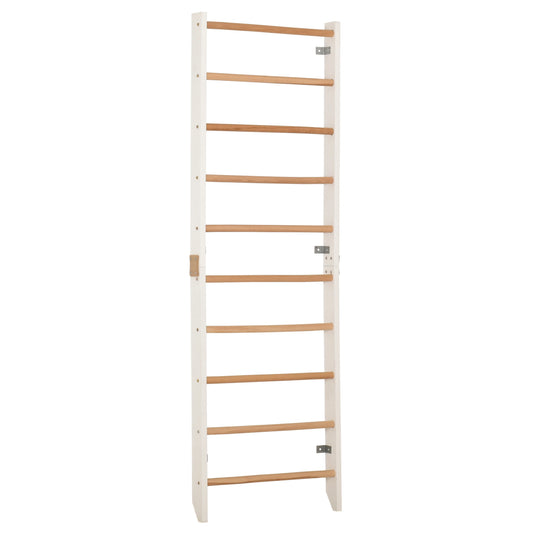 Compact Home Training Ladder