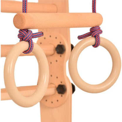 Gymnastic Rings And The Flying Trapeze